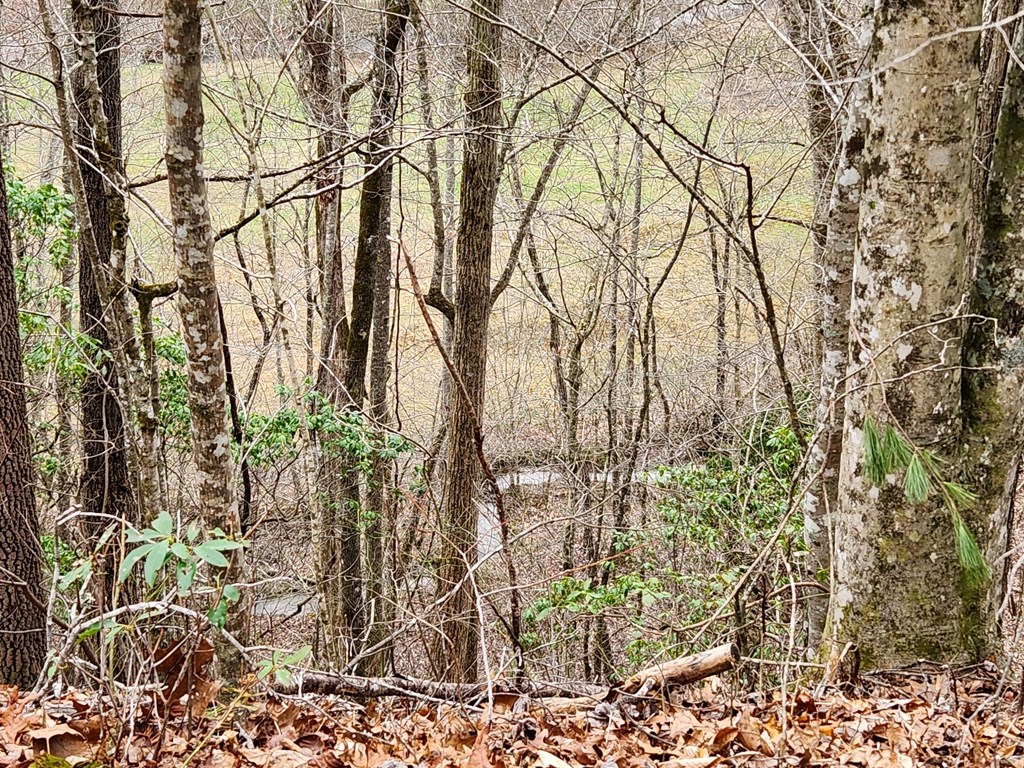 Small creek on the property