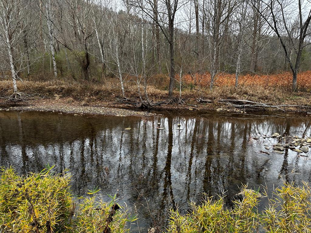 Current view of the river edge of the property. Ri