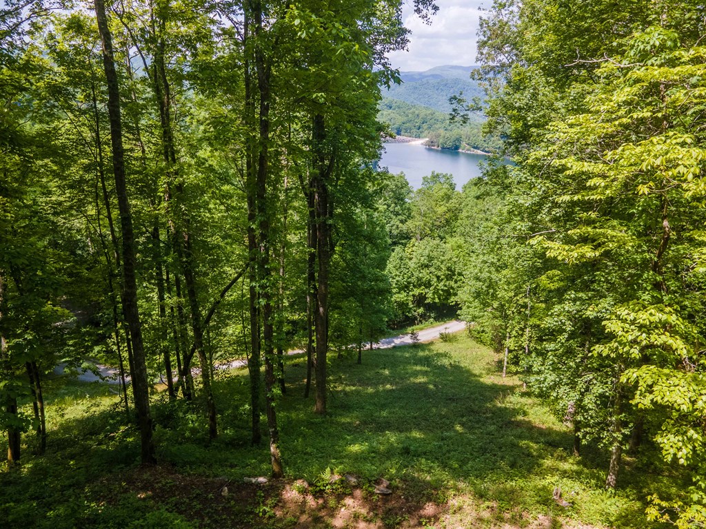 View lot has lake, mountain, and sunset views.