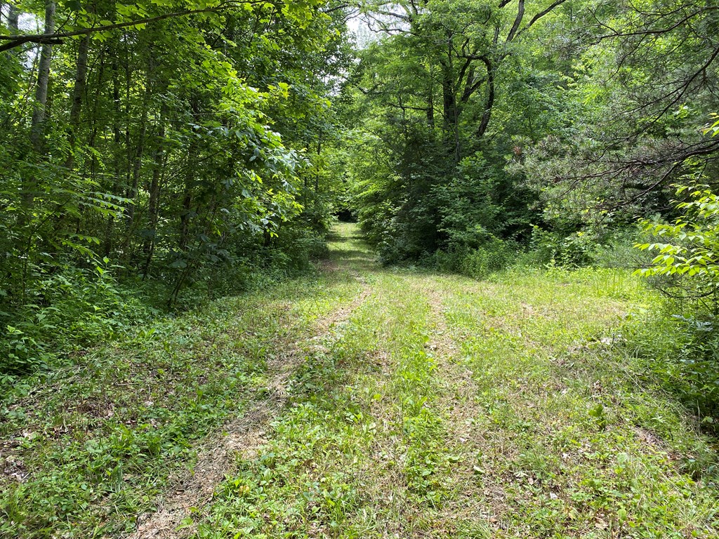 Deeded Right of Way Road