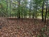 Listing Photo 26038118