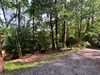 Listing Photo 26040986