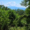 Listing Photo 26041838